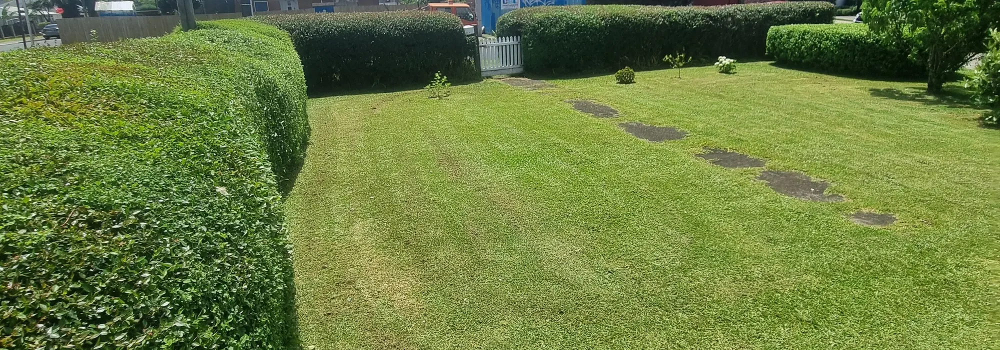 A mown lawn beside a hedge cut square by 0-Nine Lawn Care