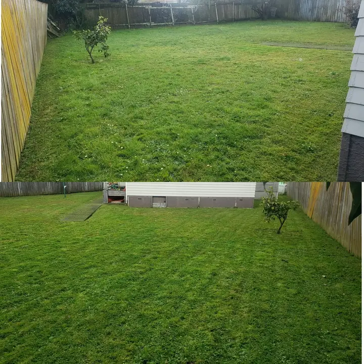 Before and after 9: a South Auckland section tidied up by 0-Nine Lawn Care