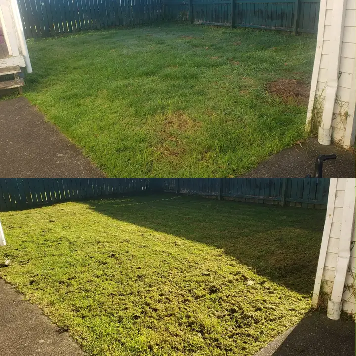 Before and after 10: a South Auckland section tidied up by 0-Nine Lawn Care
