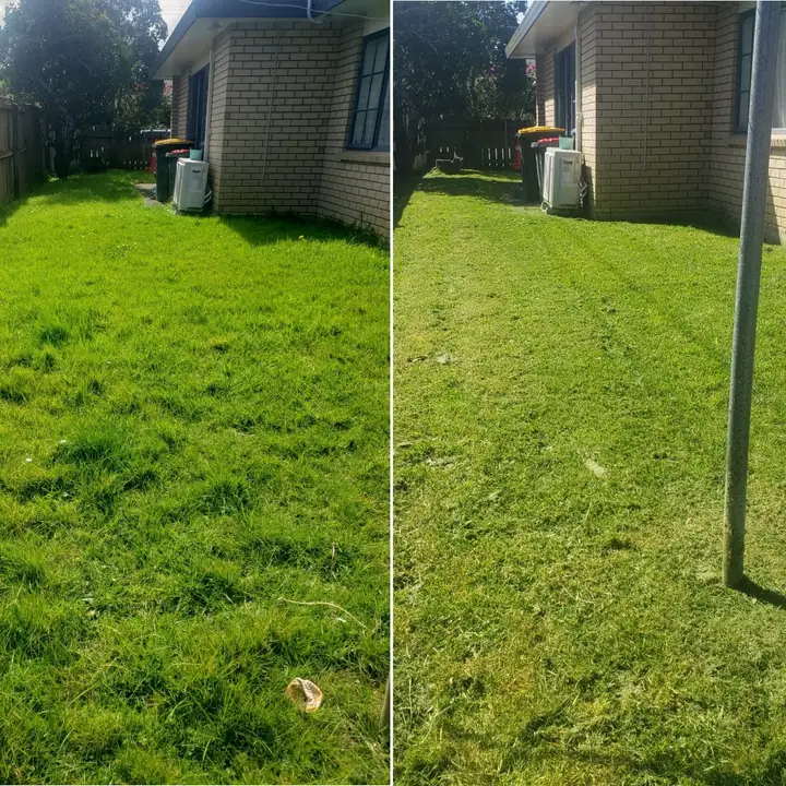 Before and after 12: a South Auckland section tidied up by 0-Nine Lawn Care