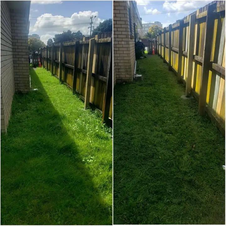 Before and after 13: a South Auckland section tidied up by 0-Nine Lawn Care
