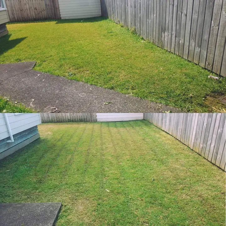 Before and after 14: a South Auckland section tidied up by 0-Nine Lawn Care