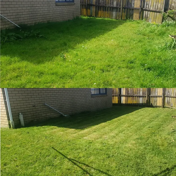 Before and after 15: a South Auckland section tidied up by 0-Nine Lawn Care