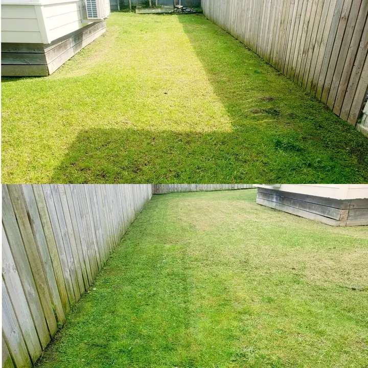 Before and after 18: a South Auckland section tidied up by 0-Nine Lawn Care