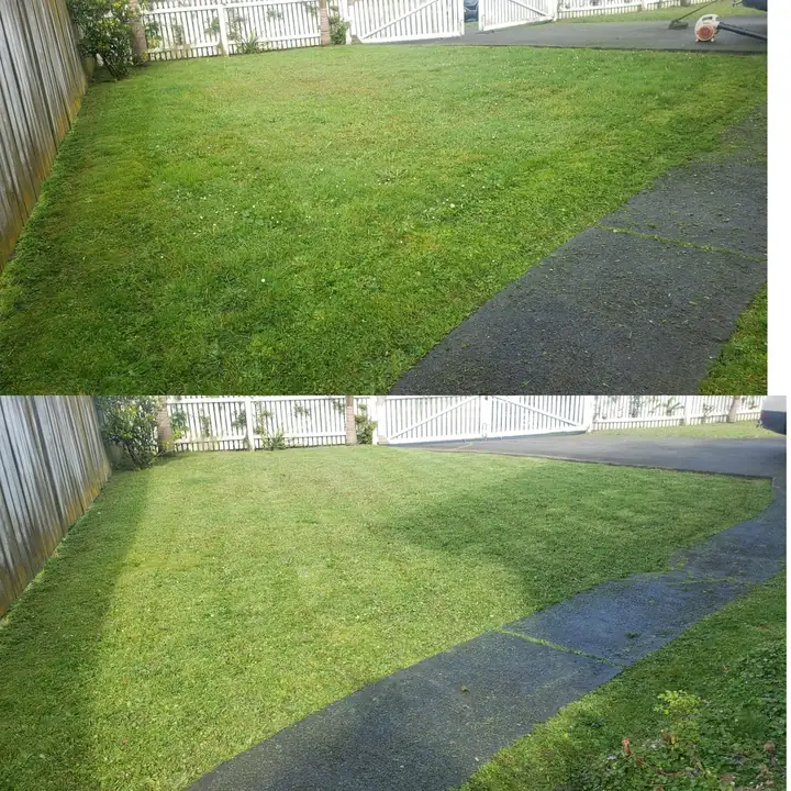 Before and after 19: a South Auckland section tidied up by 0-Nine Lawn Care