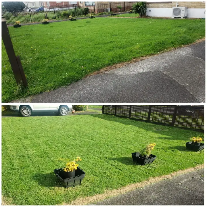 Before and after 20: a South Auckland section tidied up by 0-Nine Lawn Care
