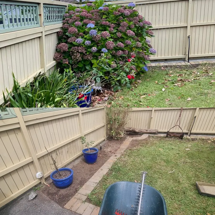 A South Auckland section before and after 0-Nine Lawn Care