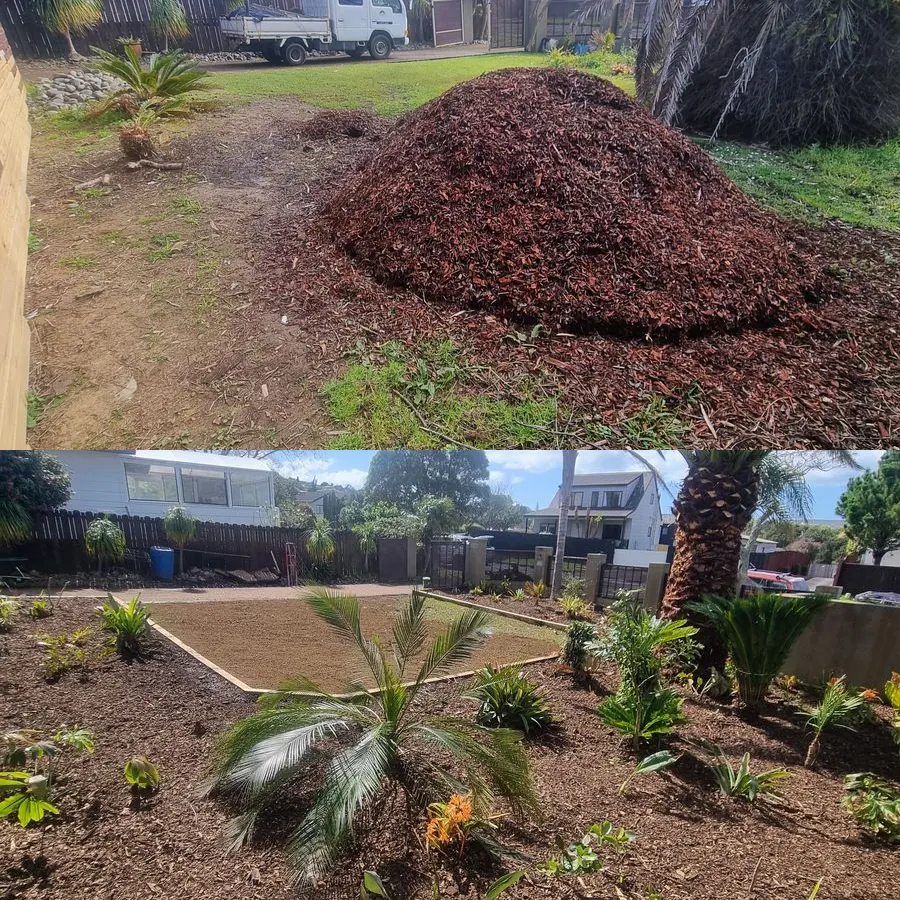 A South Auckland section before and after 0-Nine Lawn Care