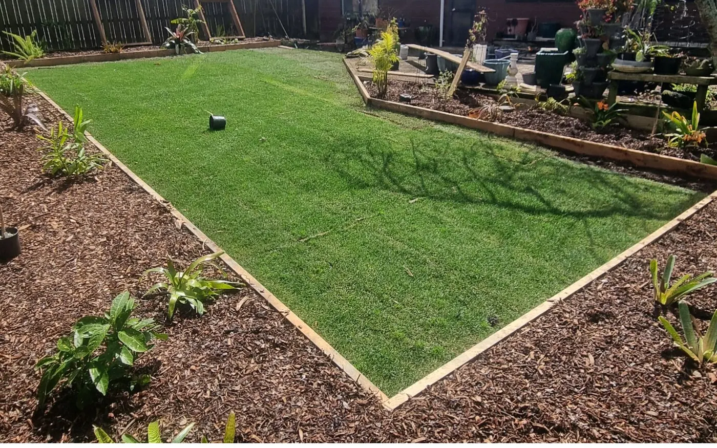 The finished garden with new lawn, timber edging and planted beds