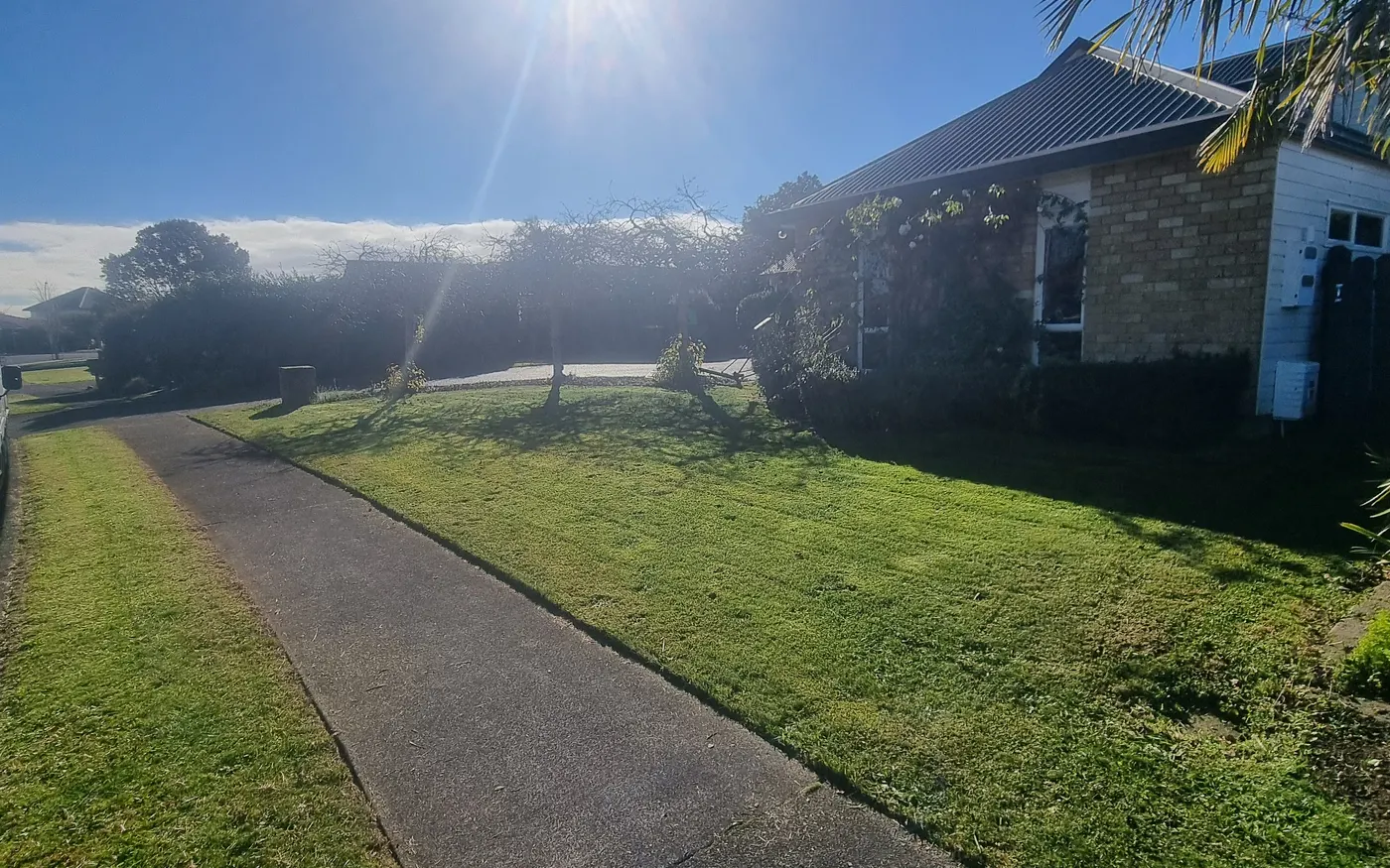 A large back lawn mown in clean stripes in South Auckland